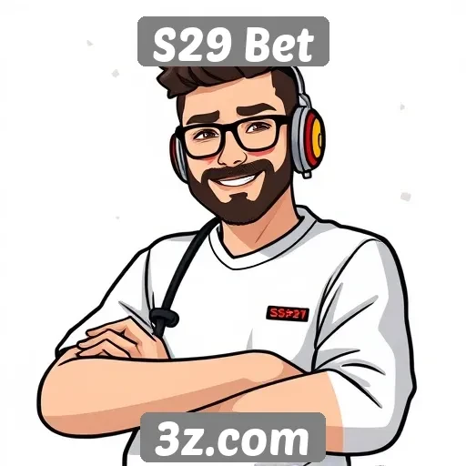Experiência do usuário no site S29 Bet
